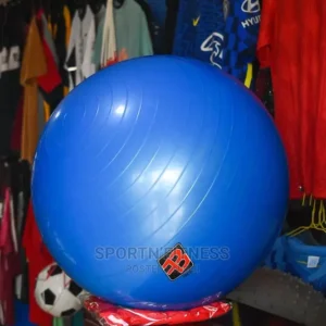 High Quality Gym Balls