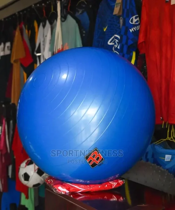 High Quality Gym Balls