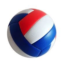 Legend Leather Volleyball