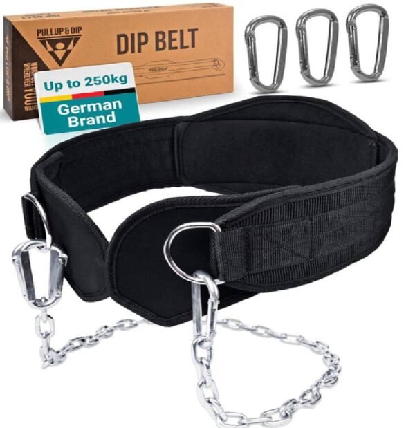 DIP BELT
